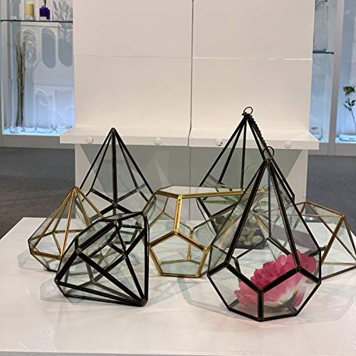 WGV Geometric Planter Terrarium, Width 5.3 Height 6 Clear Glass ...