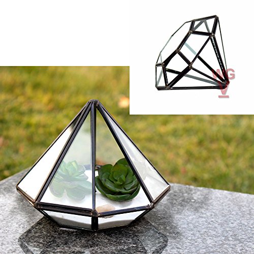 WGV Geometric Planter Terrarium, Width 5.3 Height 6 Clear Glass ...