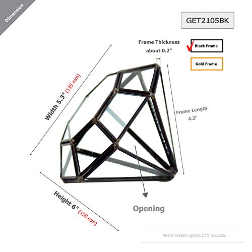 WGV Geometric Planter Terrarium, Width 5.3 Height 6 Clear Glass ...