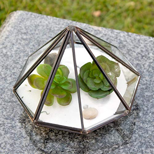 WGV Geometric Planter Terrarium, Width 5.3 Height 6 Clear Glass ...