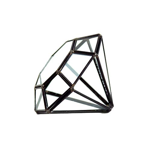 WGV Geometric Planter Terrarium, Width 5.3 Height 6 Clear Glass ...