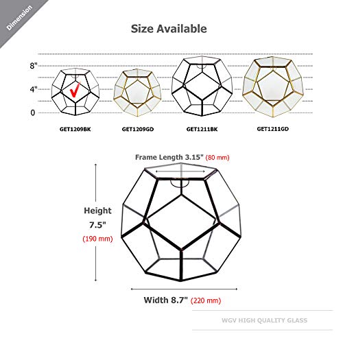 WGV Geometric Planter Terrarium, Width 8.7 Height 7.5 Clear Glas...