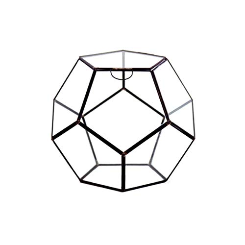 WGV Geometric Planter Terrarium, Width 8.7 Height 7.5 Clear Glas...