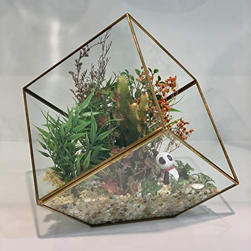 WGV Geometric Planter Terrarium, Width 8 Height 8.5 Clear Glass ...