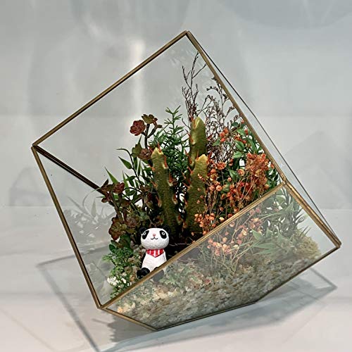 WGV Geometric Planter Terrarium, Width 8 Height 8.5 Clear Glass ...