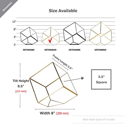 WGV Geometric Planter Terrarium, Width 8 Height 8.5 Clear Glass ...