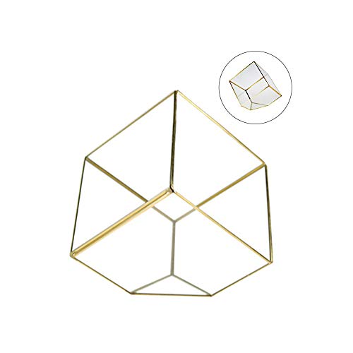 WGV Geometric Planter Terrarium, Width 8 Height 8.5 Clear Glass ...