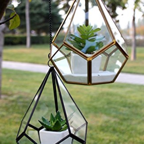 WGV Hanging Geometric Planter Terrarium Bulk Width 5.5 Height 8 ...