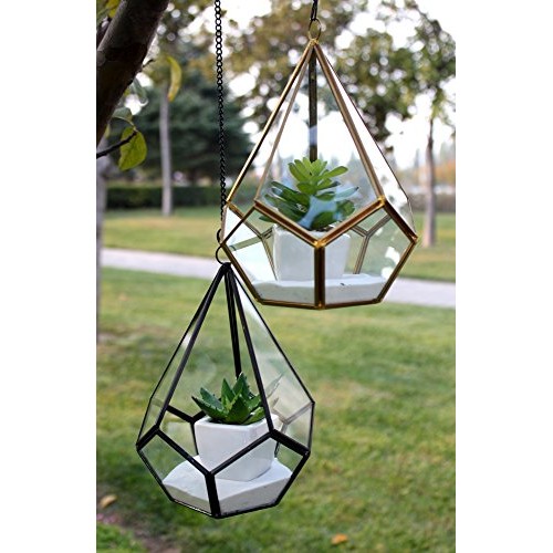 WGV Hanging Geometric Planter Terrarium Bulk Width 5.5 Height 8 ...