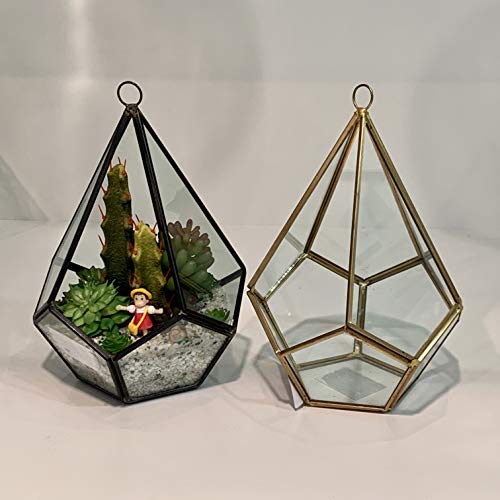 WGV Hanging Geometric Planter Terrarium Bulk Width 5.5 Height 8 ...