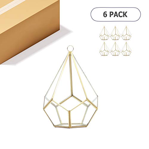 WGV Hanging Geometric Planter Terrarium Bulk Width 5.5 Height 8 ...