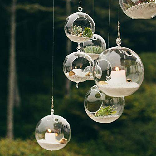 WGV Hanging Terrarium Globe, Width 4, Height 4.75, DIY Air Succu...