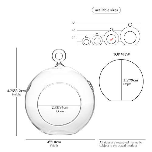 WGV Hanging Terrarium Globe, Width 4, Height 4.75, DIY Air Succu...