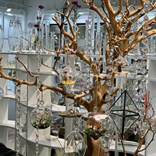 WGV Hanging Terrarium Globe, Width 4, Height 4.75, DIY Air Succu...