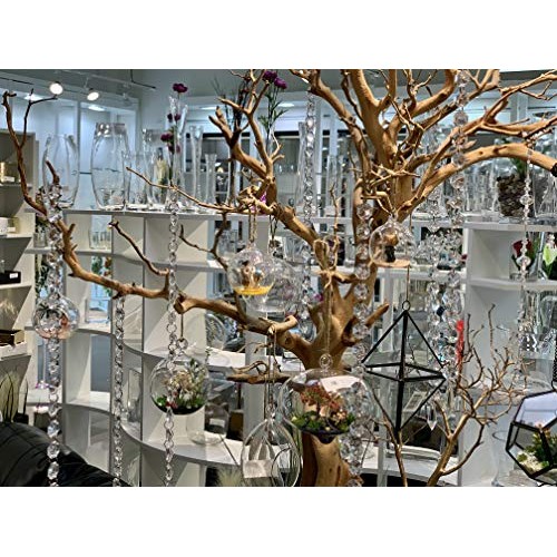 WGV Hanging Terrarium Globe, Width 4, Height 4.75, DIY Air Succu...