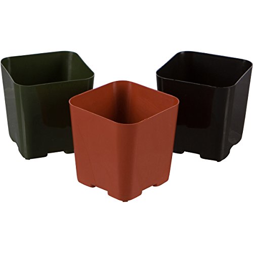 WH Garden Supply Pack of 2 Inch Plastic Flower Pots for Seedlings,...