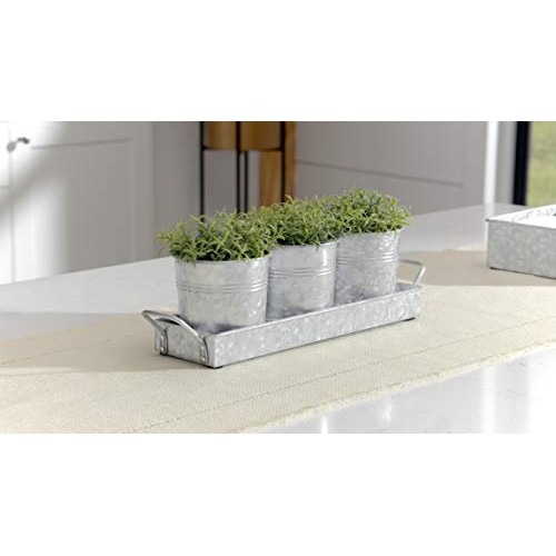 Farmhouse Flower Herb Pot Set with Tray - Galvanized Metal Vintage...