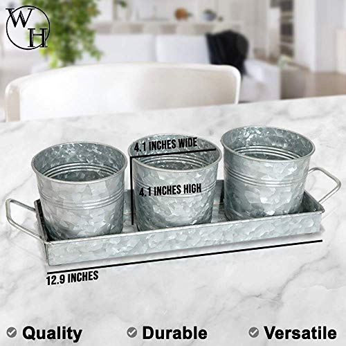 Farmhouse Flower Herb Pot Set with Tray - Galvanized Metal Vintage...