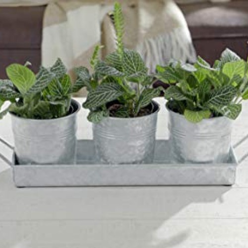 Farmhouse Flower Herb Pot Set with Tray - Galvanized Metal Vintage...