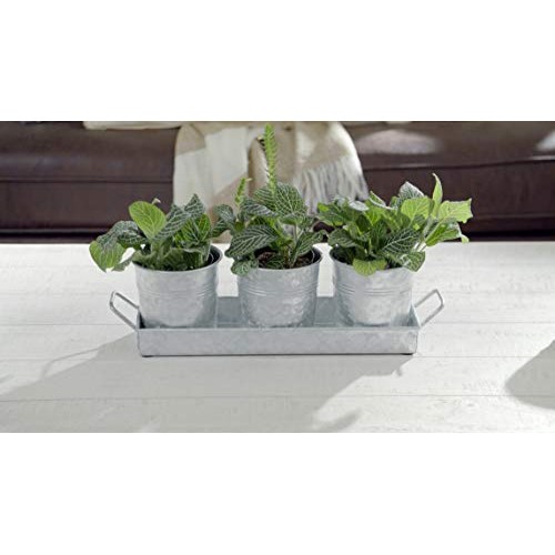 Farmhouse Flower Herb Pot Set with Tray - Galvanized Metal Vintage...