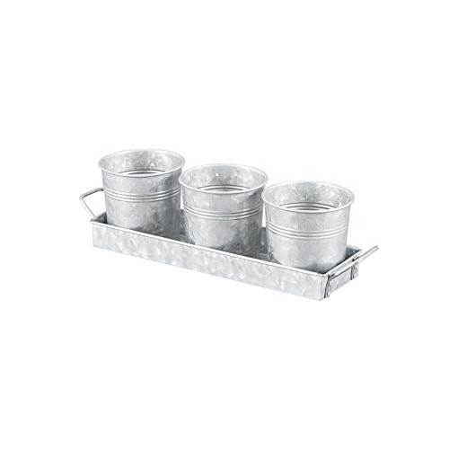 Farmhouse Flower Herb Pot Set with Tray - Galvanized Metal Vintage...