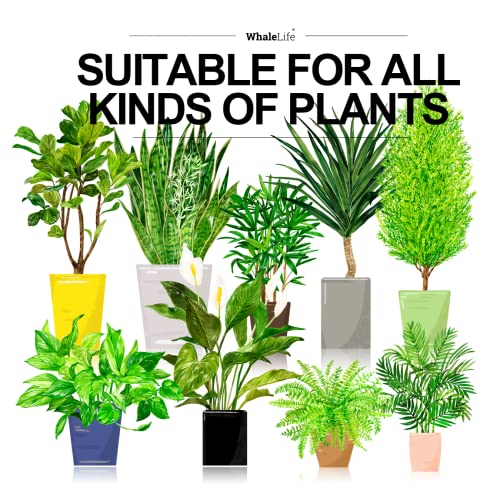 Watering Can for Indoor and Outdoor Plants 1/2 Gallon Plastic, Lon...