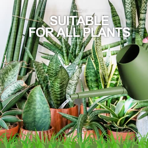 Watering Can for Indoor and Outdoor Plants 1/2 Gallon Plastic, Lon...