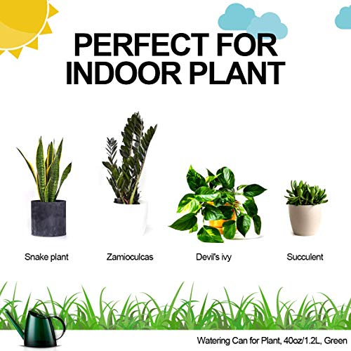 WhaleLife Indoor Watering Can for House Bonsai Plants Garden Flowe...