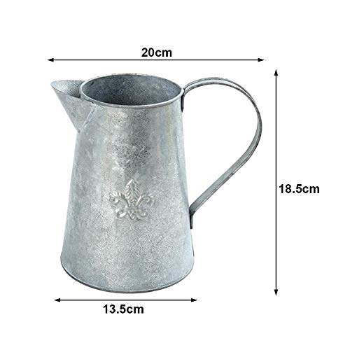 Iron Flower Pot Watering Can Indoor Outdoor Plant Watering Can Vas...