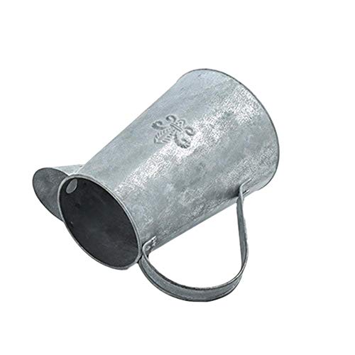 Iron Flower Pot Watering Can Indoor Outdoor Plant Watering Can Vas...