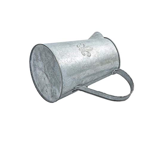 Iron Flower Pot Watering Can Indoor Outdoor Plant Watering Can Vas...