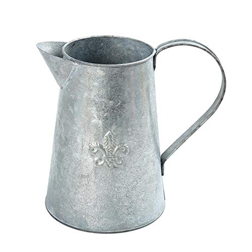 Iron Flower Pot Watering Can Indoor Outdoor Plant Watering Can Vas...