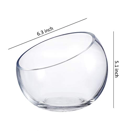 WHOLE HOUSEWARES Glass Slant Bowl Glass Terrarium Set of 2 Dia 6....