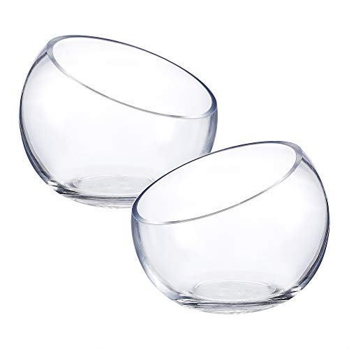 WHOLE HOUSEWARES Glass Slant Bowl Glass Terrarium Set of 2 Dia 6....