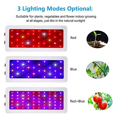 HYSTORM HY 600W LED Grow Light Sunlike Full Spectrum LED Growing L...
