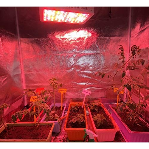 HYSTORM HY 600W LED Grow Light Sunlike Full Spectrum LED Growing L...