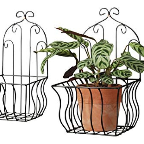 French Country Wall Baskets for Plants, Set of 2, Crested Arabesqu...