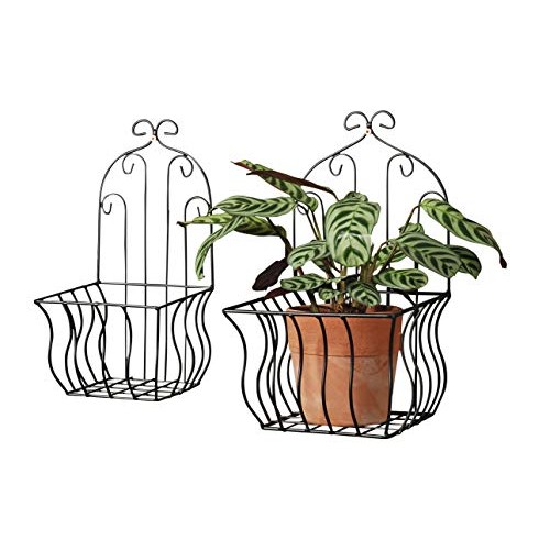 French Country Wall Baskets for Plants, Set of 2, Crested Arabesqu...