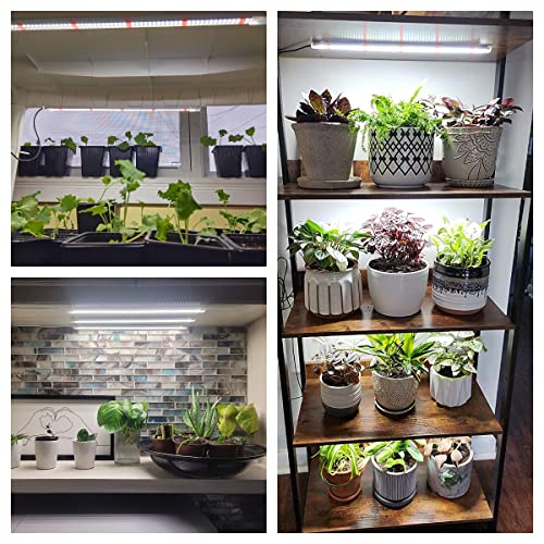 Wiaxulay LED Plant Grow Light Strips, 6000K Full Spectrum Grow Lig...