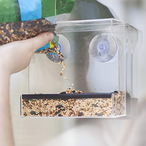 Wild Birds of Joy Window Bird Feeder with Strong Suction Cups and ...