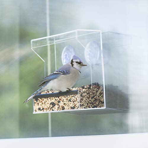Wild Birds of Joy Window Bird Feeder with Strong Suction Cups and ...
