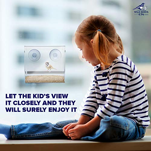 Wild Birds of Joy Window Bird Feeder with Strong Suction Cups and ...