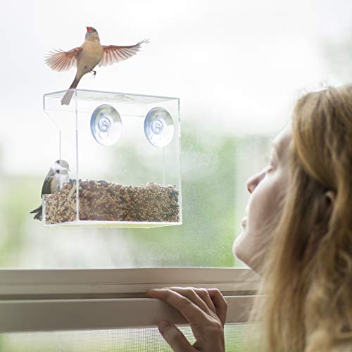 Wild Birds of Joy Window Bird Feeder with Strong Suction Cups and ...