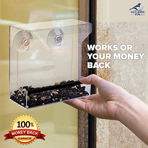 Wild Birds of Joy Window Bird Feeder with Strong Suction Cups and ...