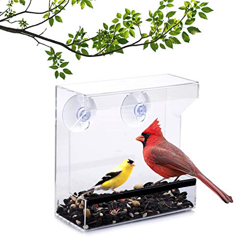 Wild Birds of Joy Window Bird Feeder with Strong Suction Cups and ...