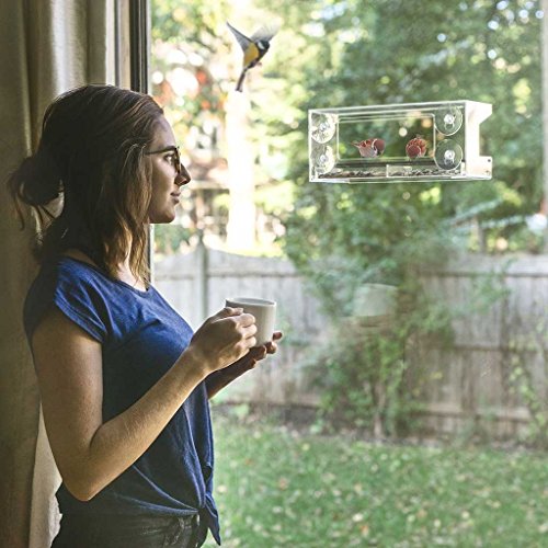 Wild Birds of Joy Window Bird Feeder with 4 Super Strong Suction C...