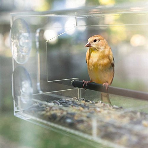 Wild Birds of Joy Window Bird Feeder with 4 Super Strong Suction C...