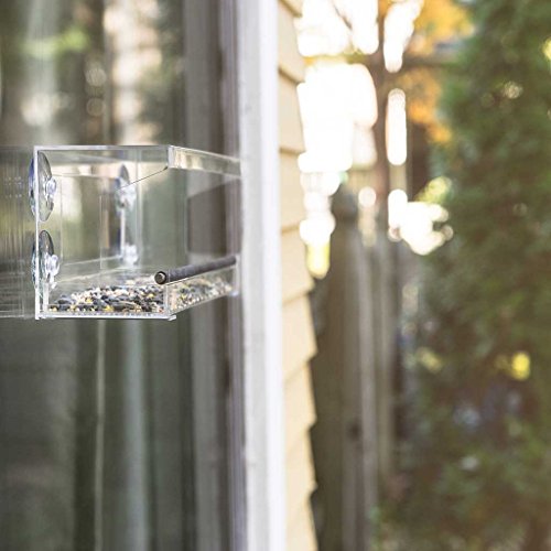 Wild Birds of Joy Window Bird Feeder with 4 Super Strong Suction C...