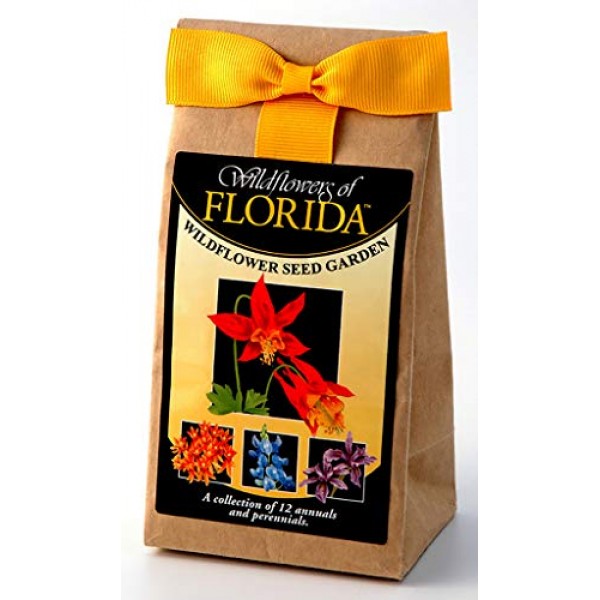 Florida Wildflower Seed Mix - A Beautiful Collection of Twelve Ann...