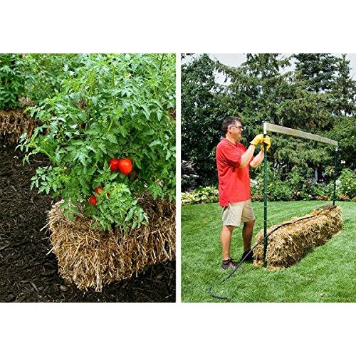 Wildroot Organic Mycorrhizal Fungi Concentrate 16 Species Endo &...